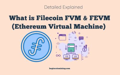 What is Filecoin FVM & FEVM (Ethereum Virtual Machine): Detailed Explained