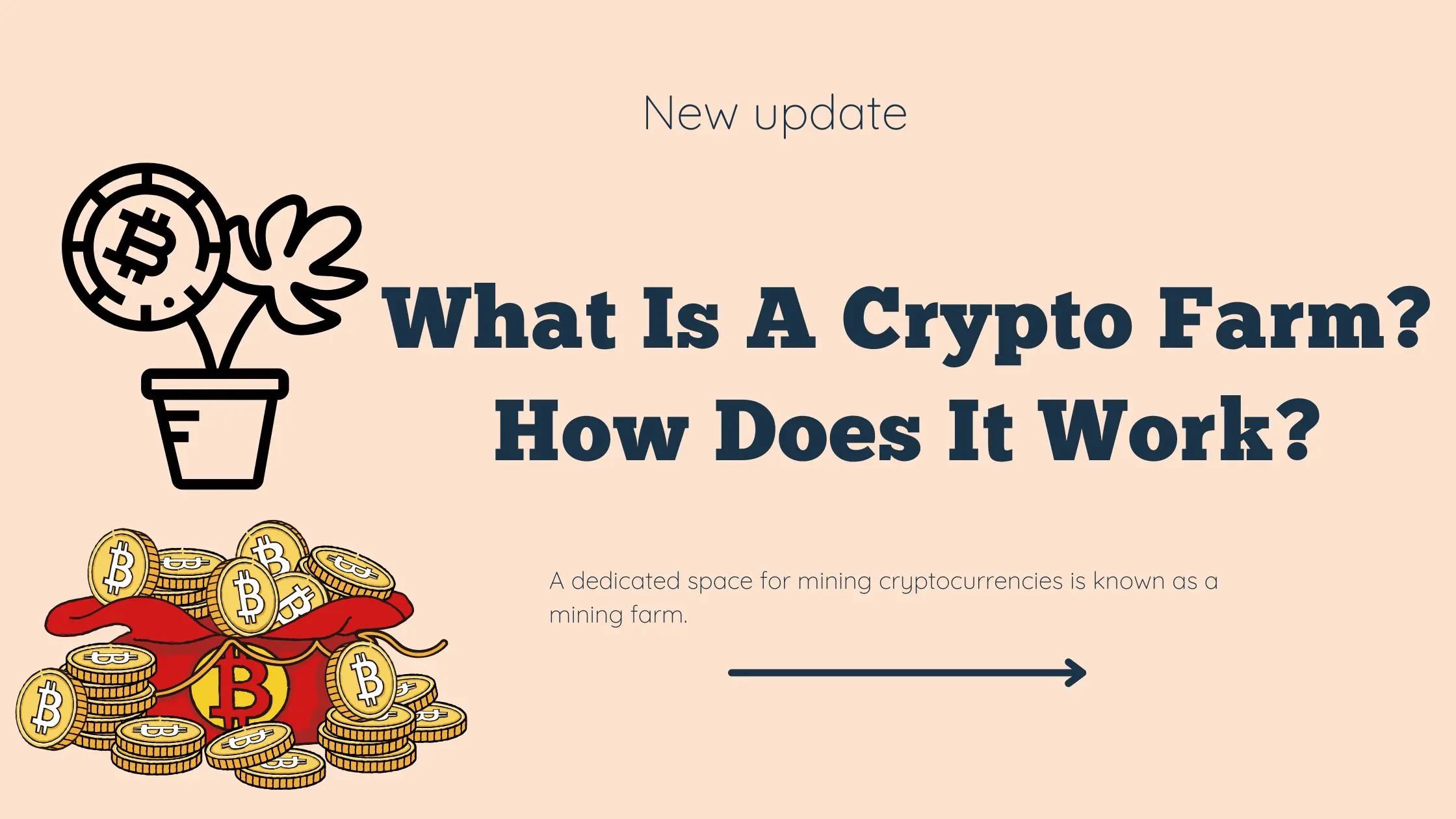 What Is A Crypto Farm? How Does It Work?