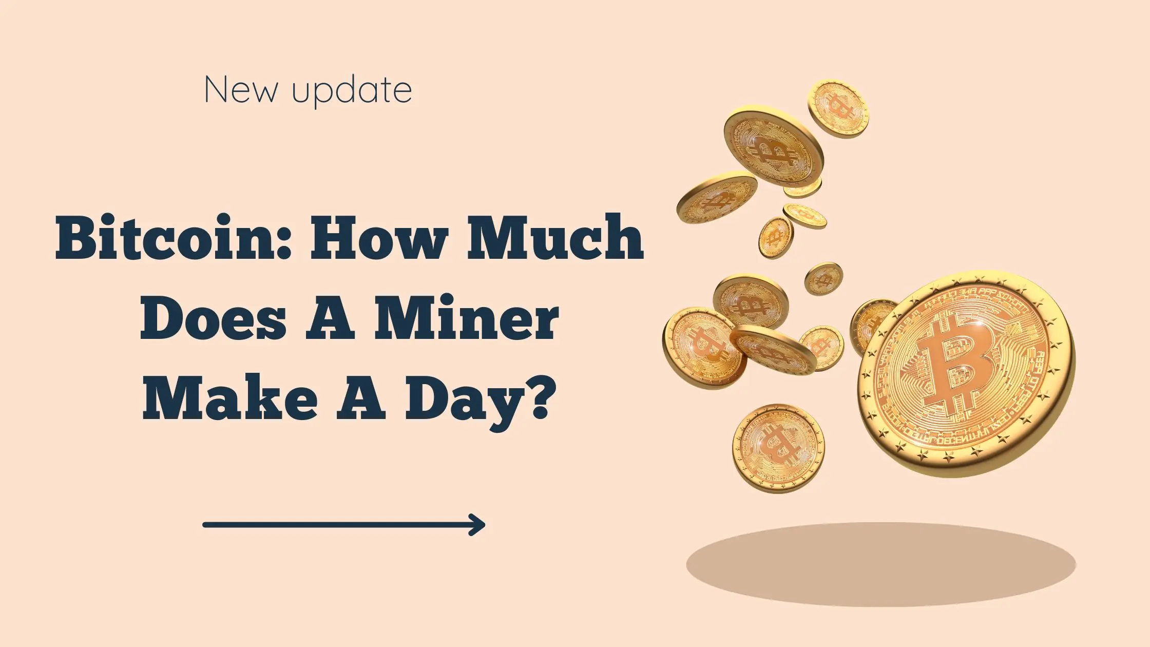 Bitcoin How Much Does A Miner Make A Day 