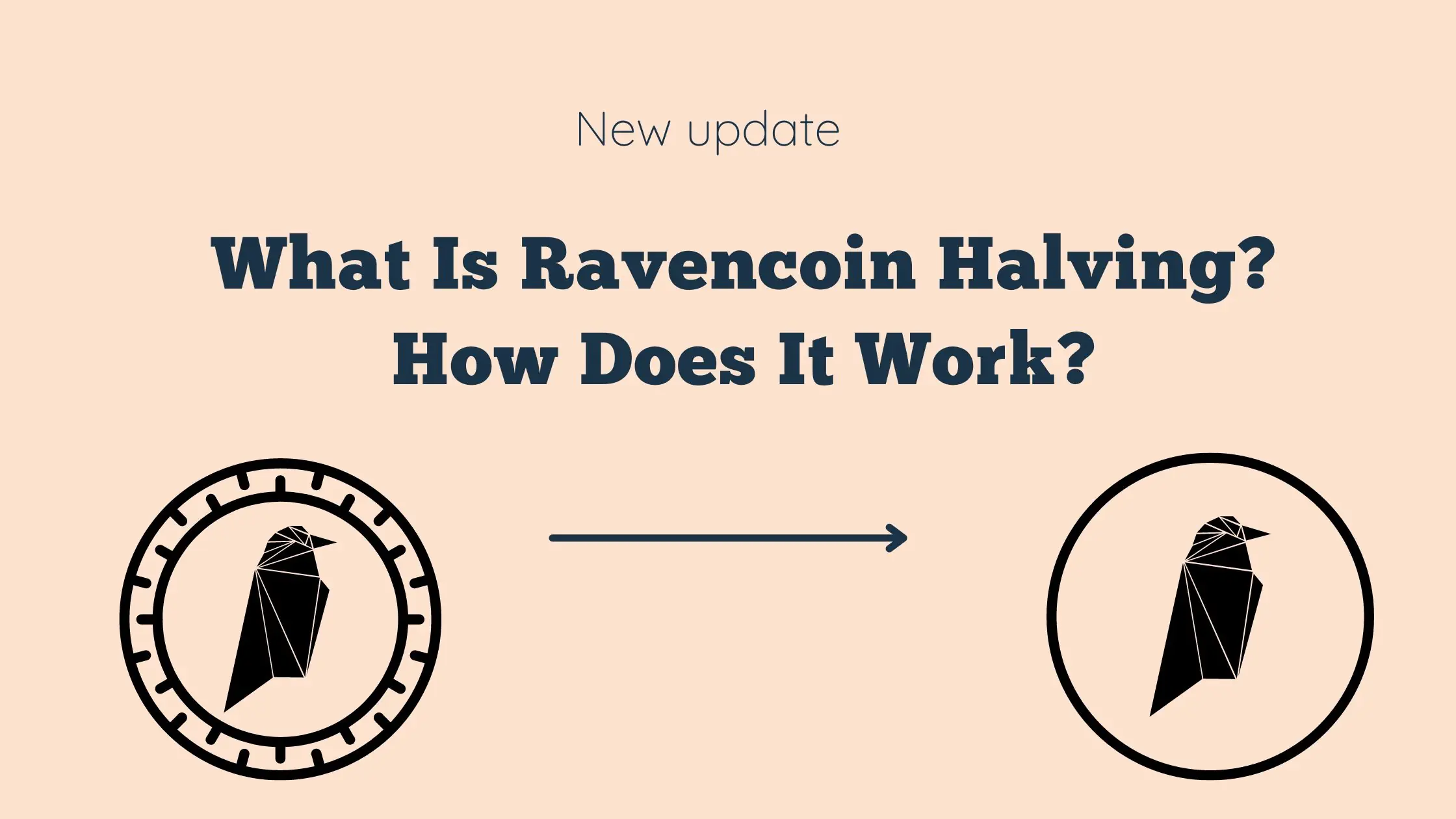 What Is Ravencoin Halving? How Does It Work?