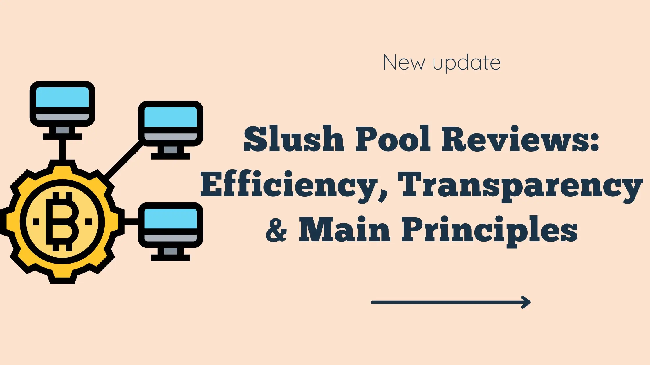 Slush Pool Reviews: Efficiency, Transparency & Main Principles